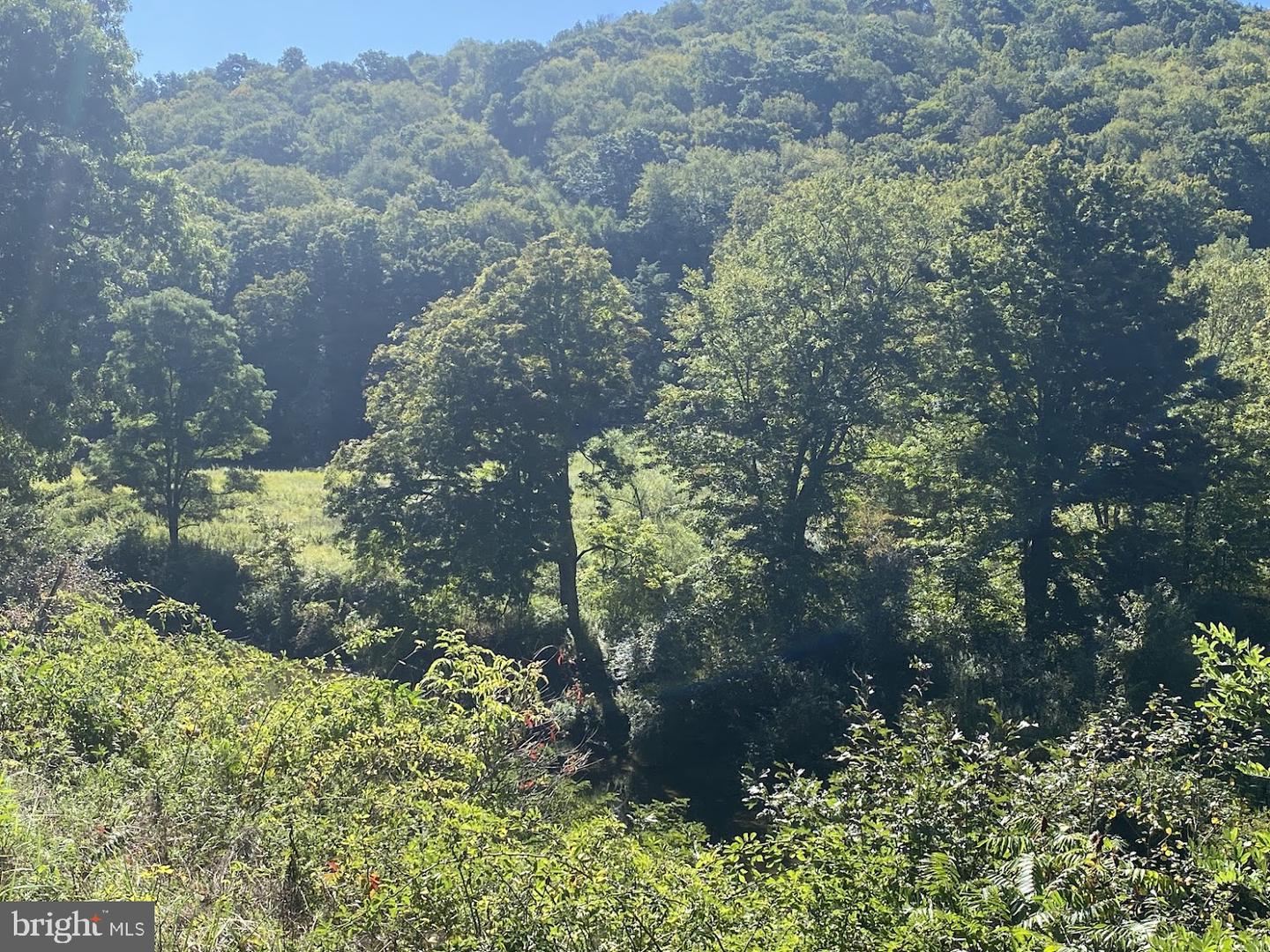 Tbd Route 50 Property Photo 8
