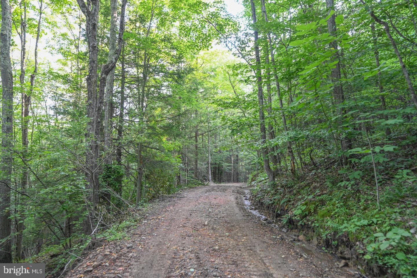 Tbd Route 50 Property Photo 18