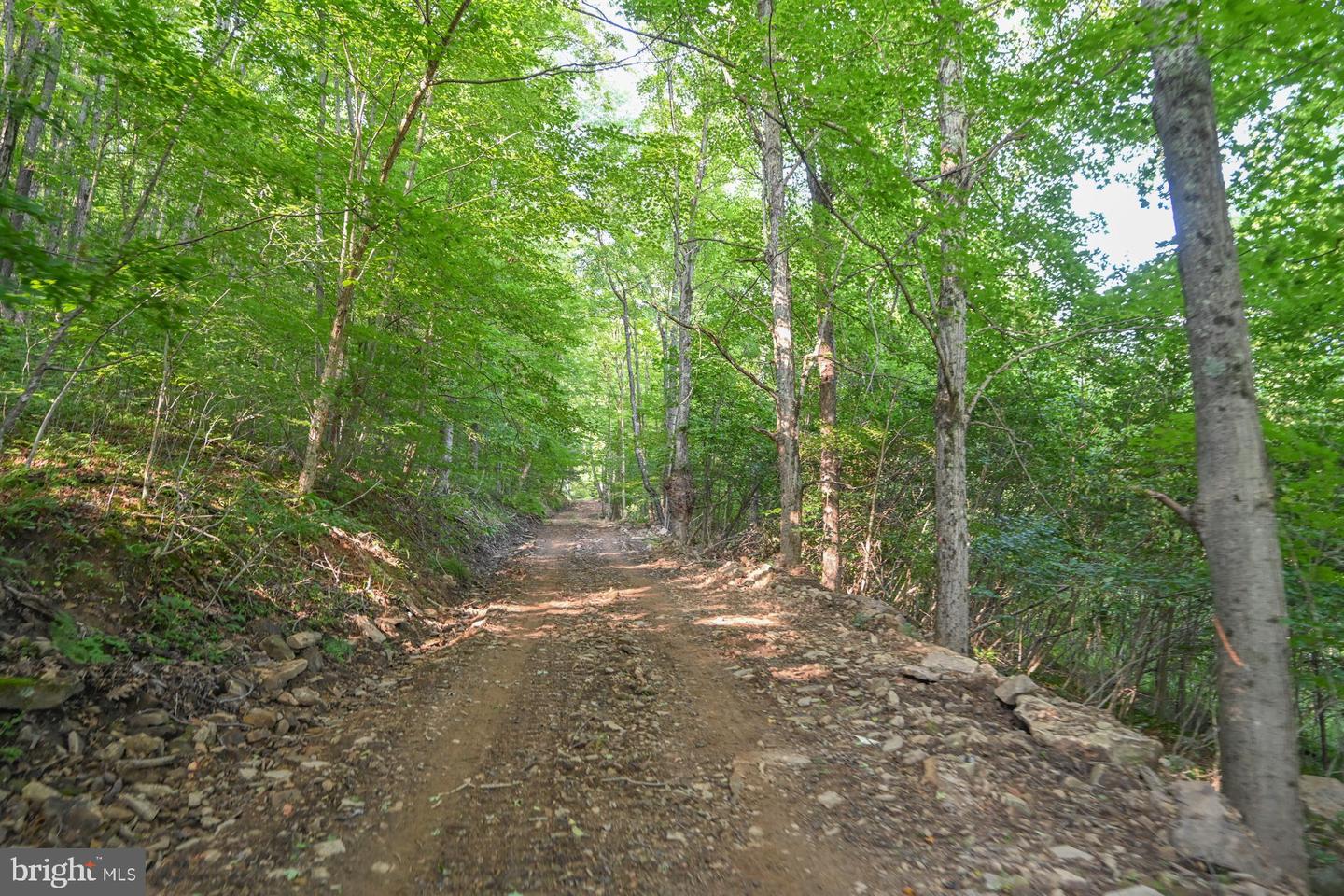 Tbd Route 50 Property Photo 19