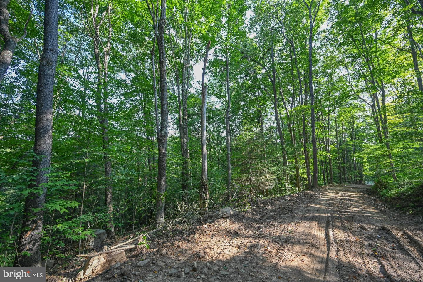 Tbd Route 50 Property Photo 20