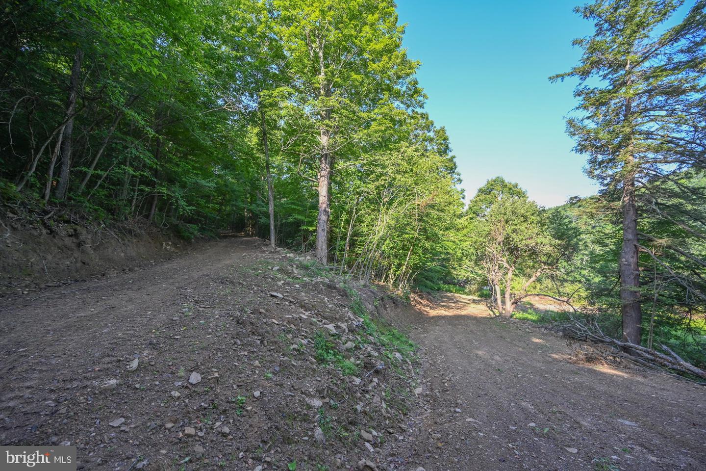 Tbd Route 50 Property Photo 21