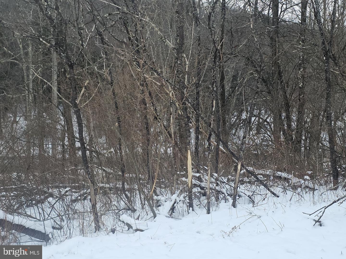 Tbd Route 50 Property Photo 25