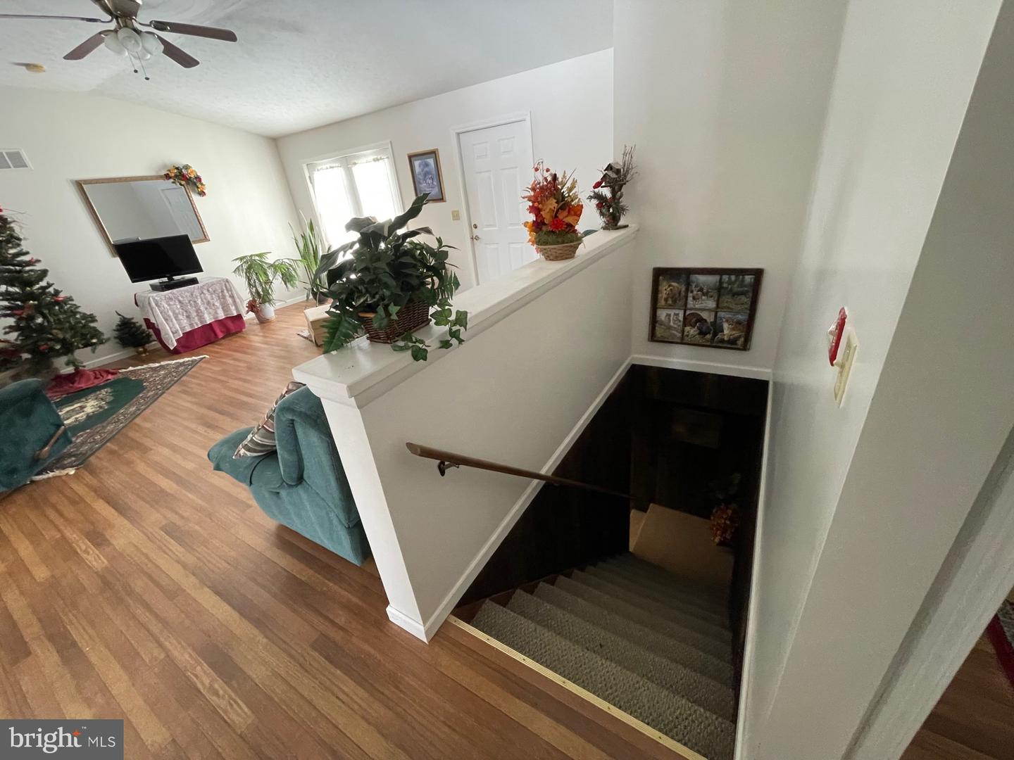 4645 Lower Knobley Rd Property Photo 41