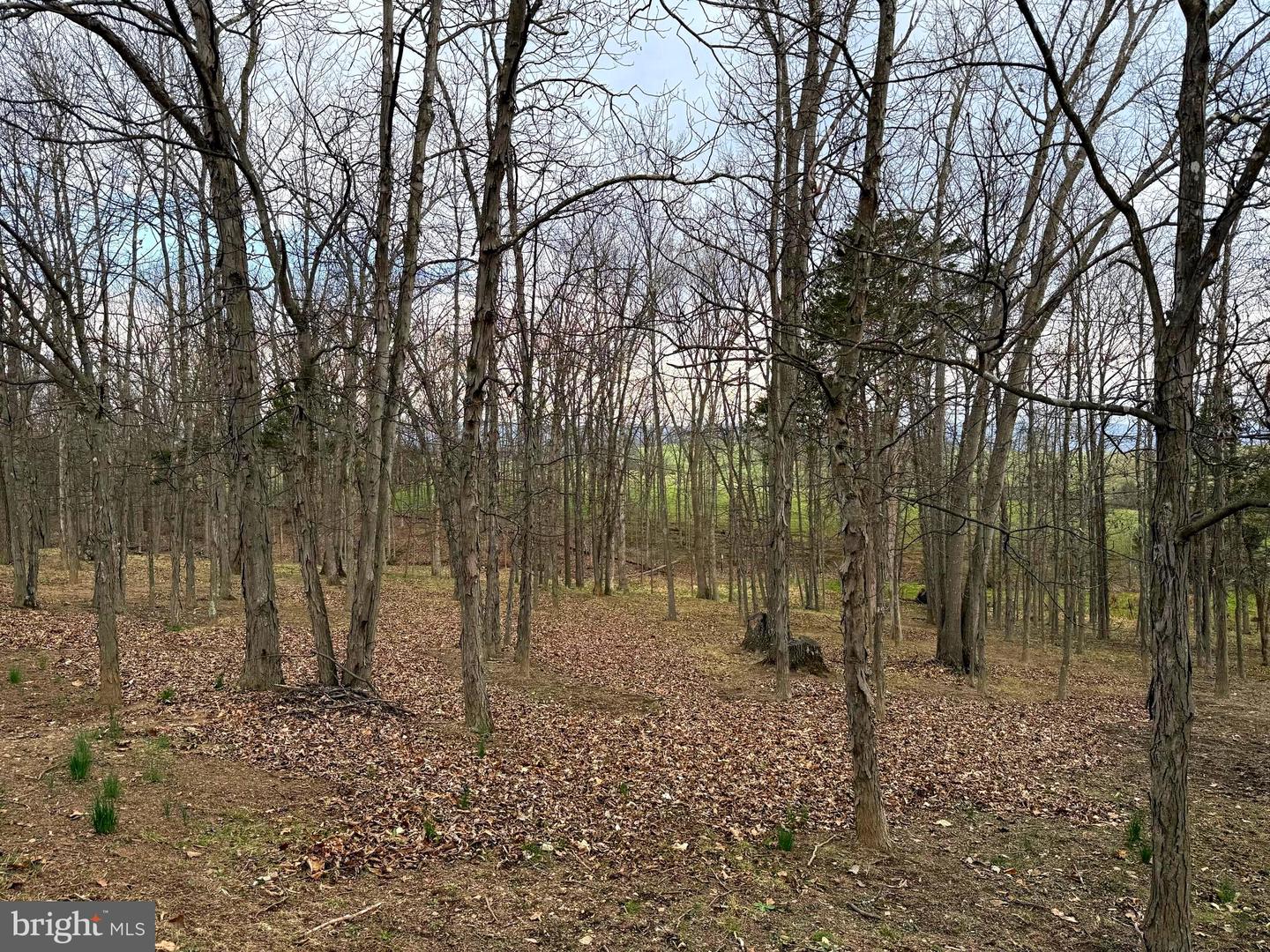 401 Nighthawk Dr Property Photo 14