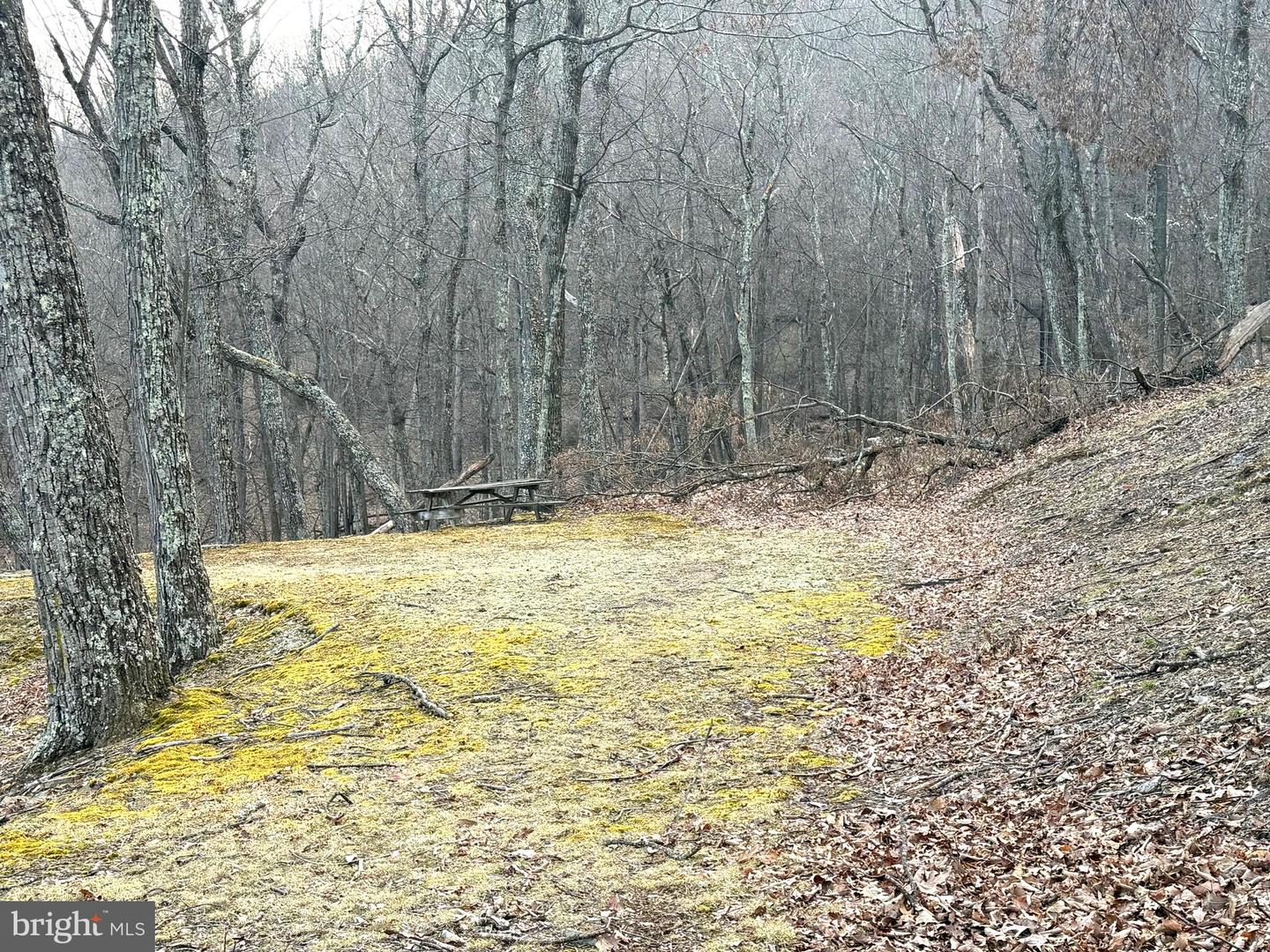 Lot 5 Preserve Rd Property Photo 1