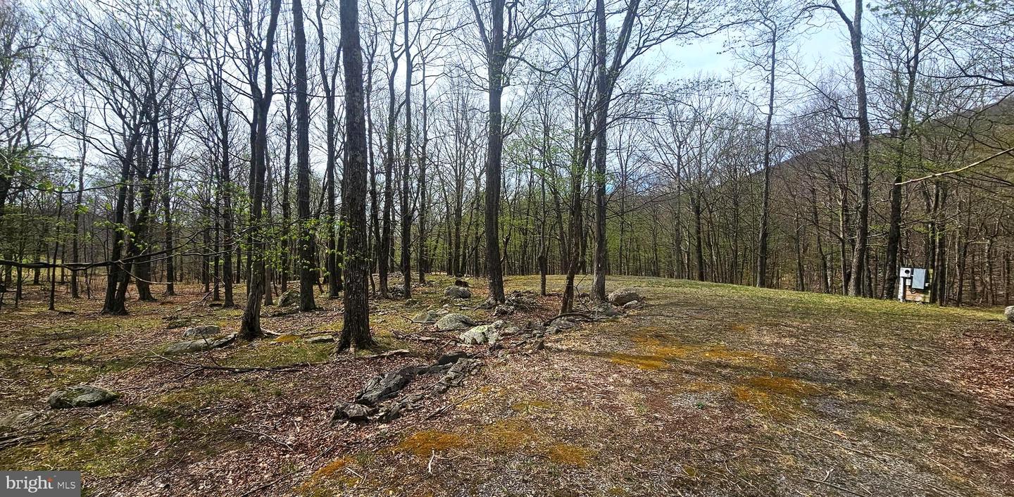 GOLDENSEAL RD #LOT 46
