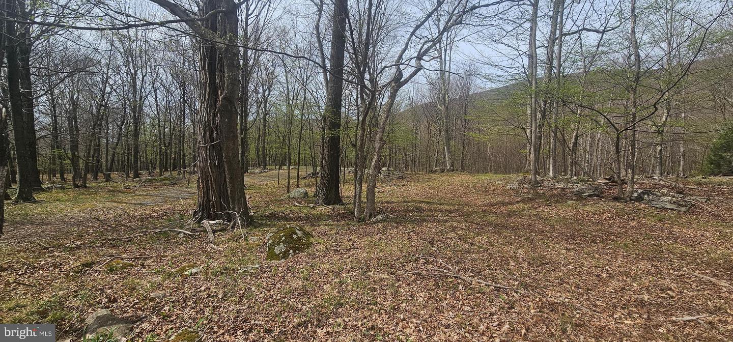 Goldenseal Rd #lot 46 Property Photo 3