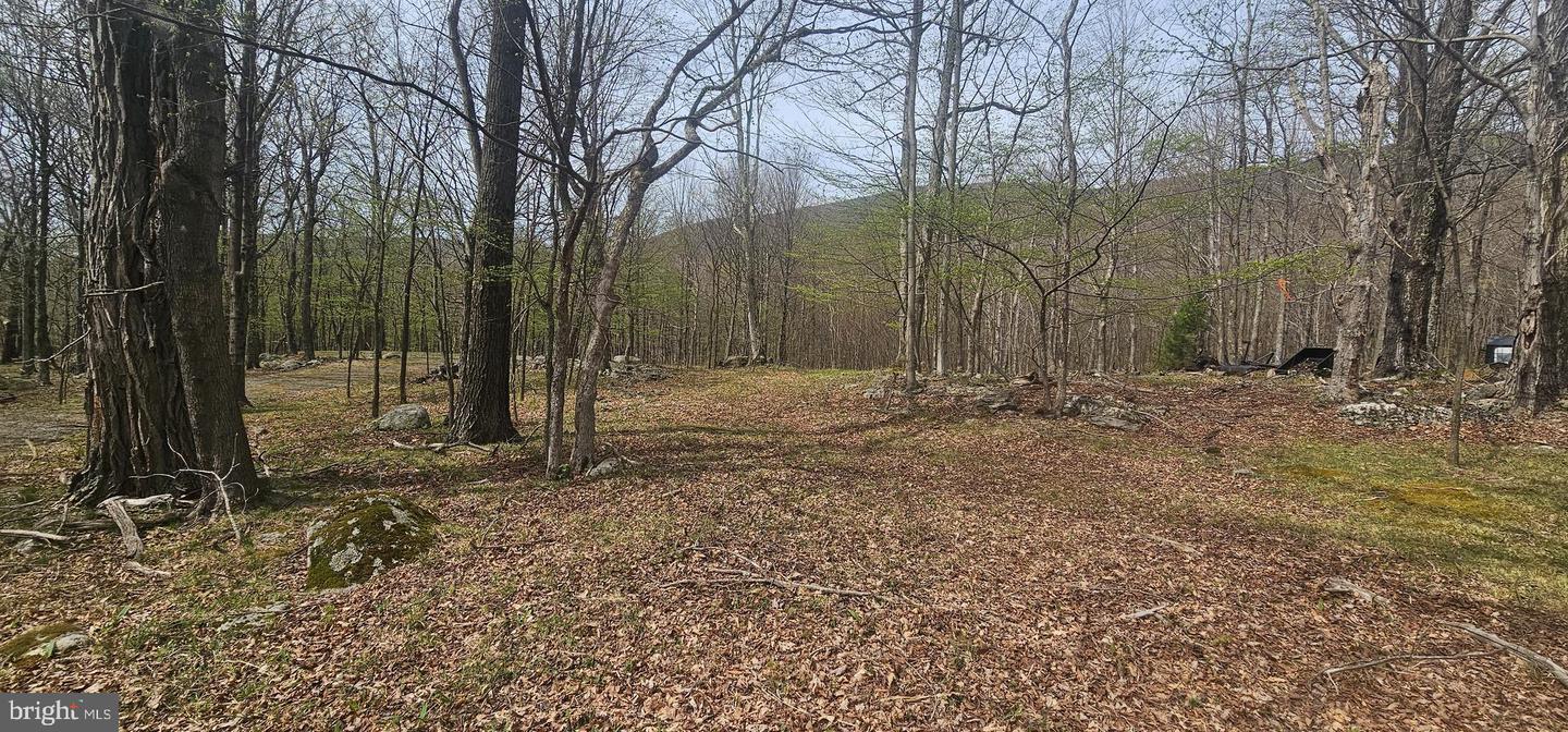Goldenseal Rd #lot 46 Property Photo 4