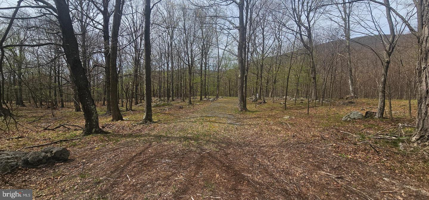 Goldenseal Rd #lot 46 Property Photo 5