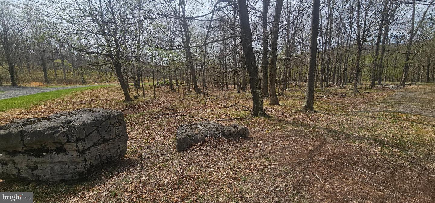 Goldenseal Rd #lot 46 Property Photo 6