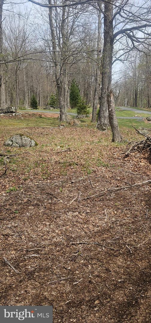Goldenseal Rd #lot 46 Property Photo 7