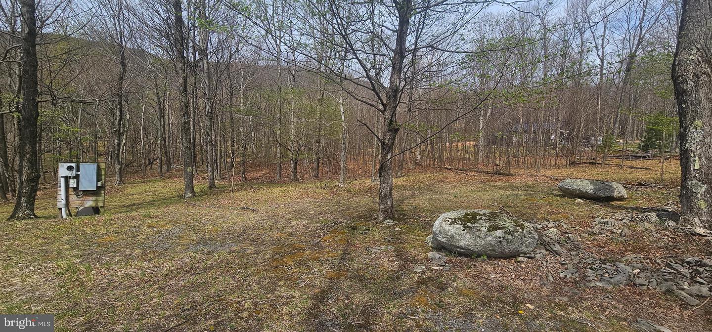 Goldenseal Rd #lot 46 Property Photo 9