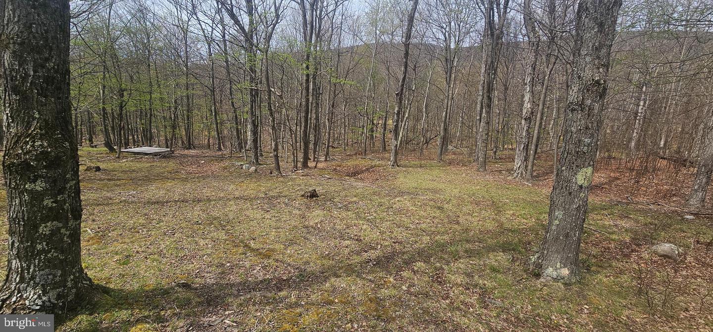 Goldenseal Rd #lot 46 Property Photo 11