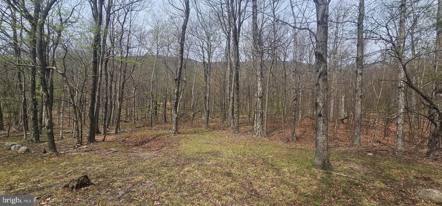 Goldenseal Rd #lot 46 Property Photo 12
