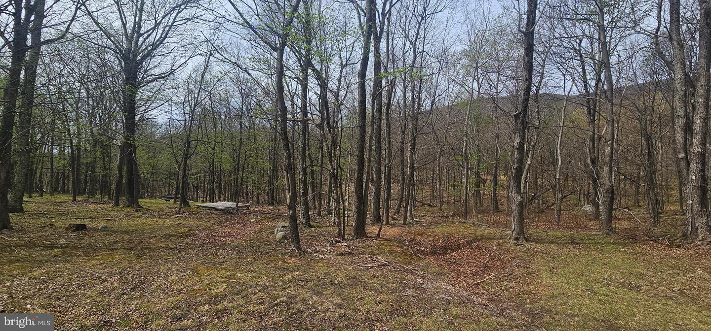 Goldenseal Rd #lot 46 Property Photo 13