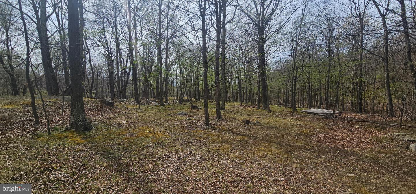 Goldenseal Rd #lot 46 Property Photo 14