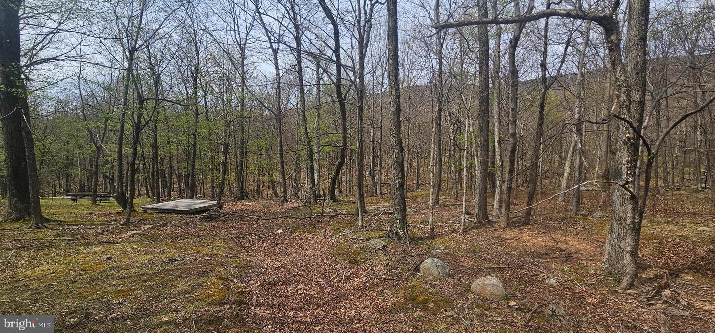 Goldenseal Rd #lot 46 Property Photo 15