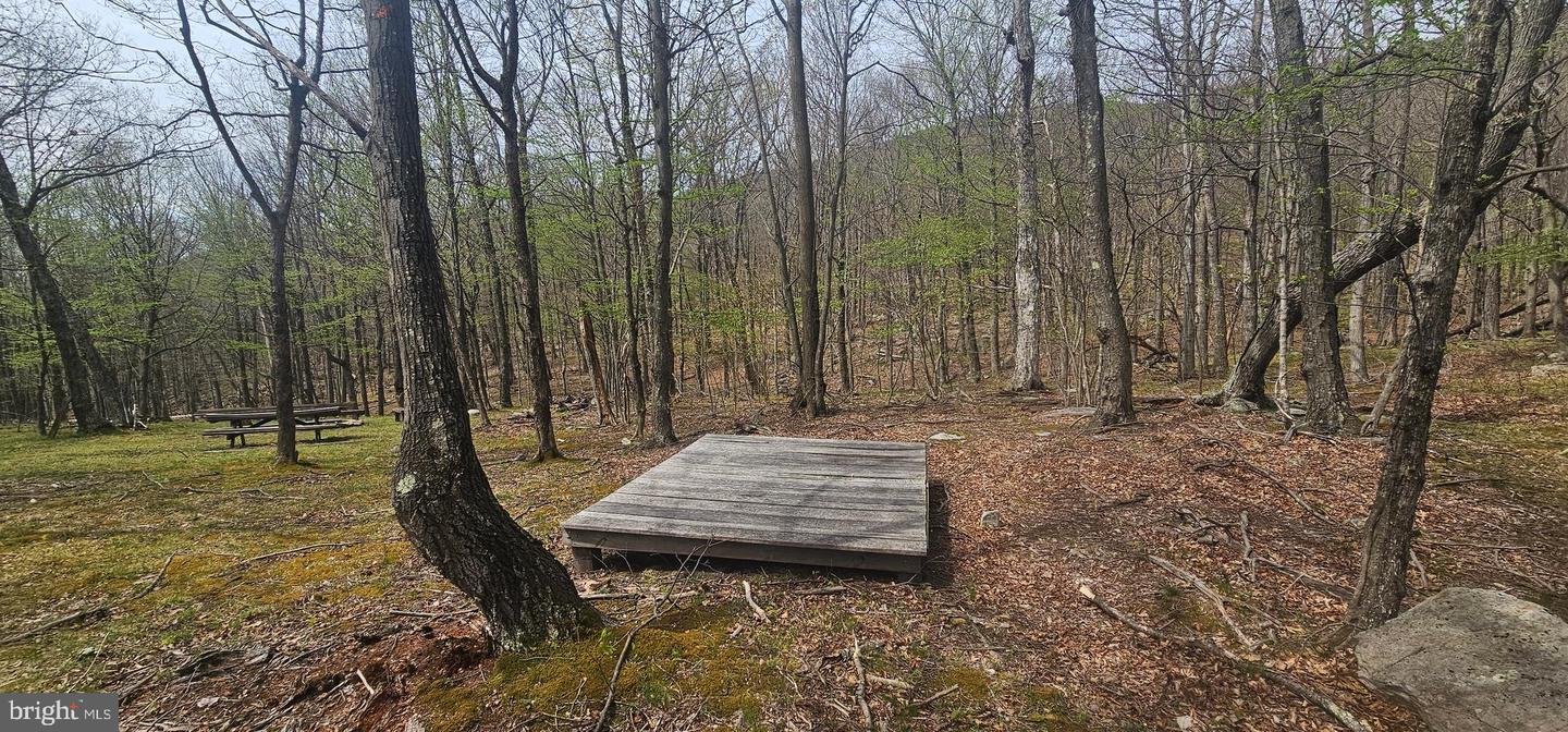 Goldenseal Rd #lot 46 Property Photo 16