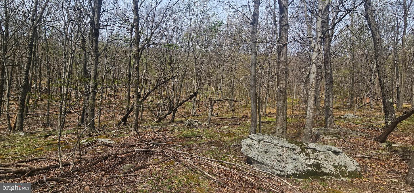 Goldenseal Rd #lot 46 Property Photo 23