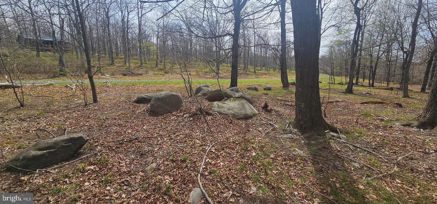 Goldenseal Rd #lot 46 Property Photo 26