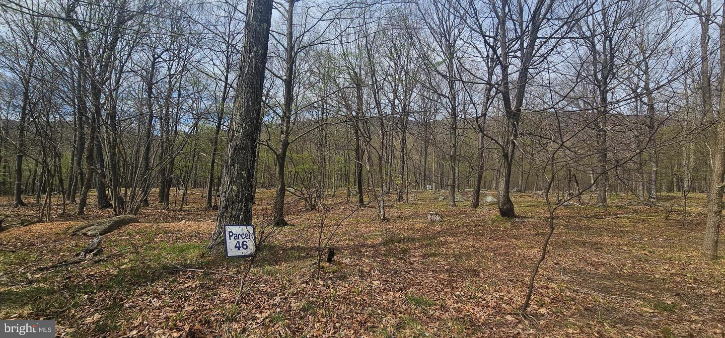 Goldenseal Rd #lot 46 Property Photo 27