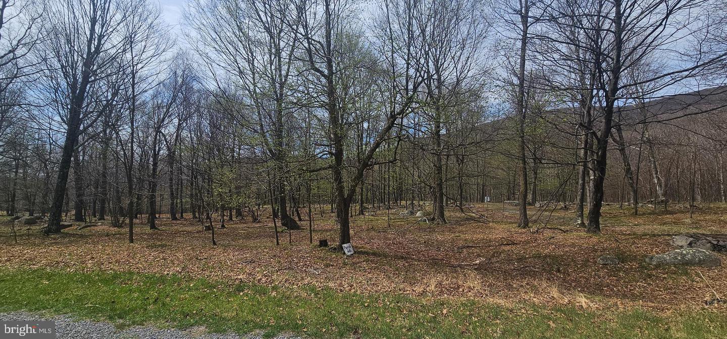 Goldenseal Rd #lot 46 Property Photo 28
