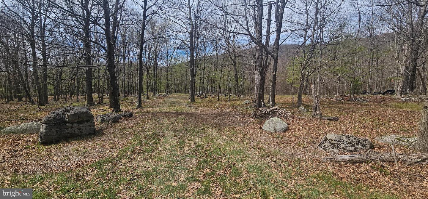 Goldenseal Rd #lot 46 Property Photo 29