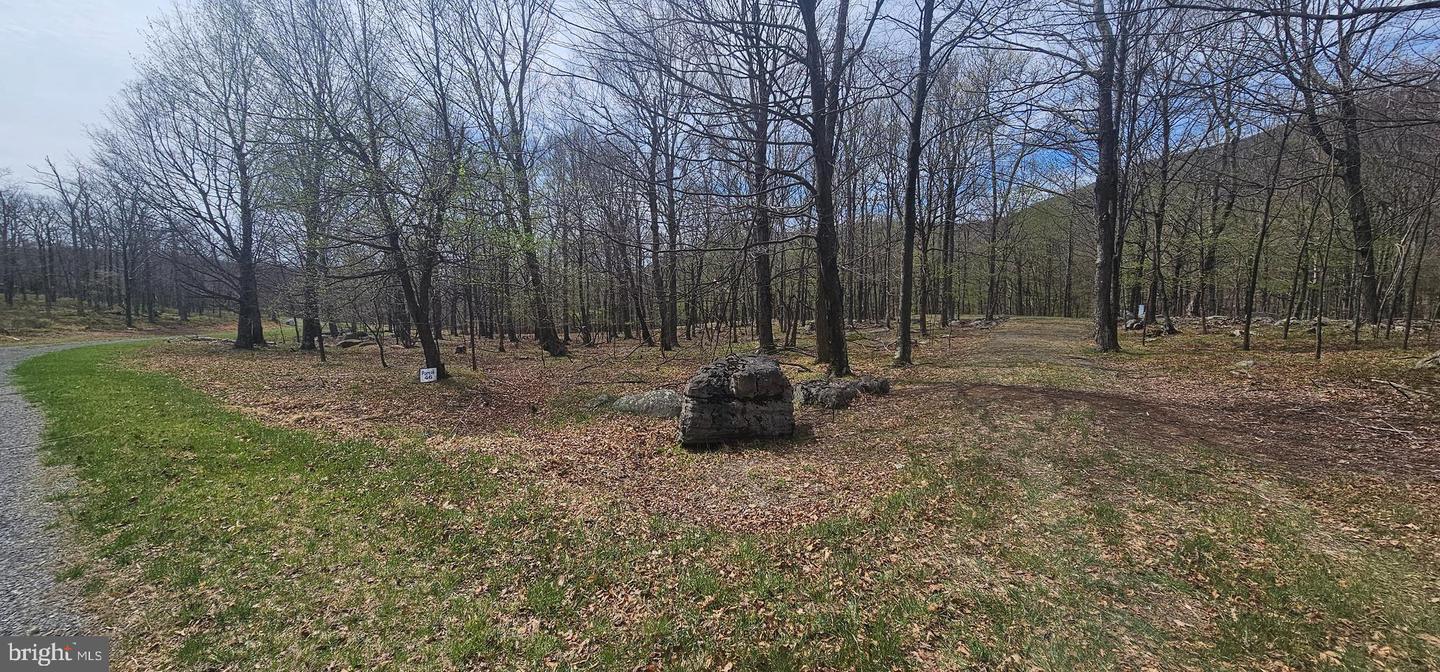 Goldenseal Rd #lot 46 Property Photo 30