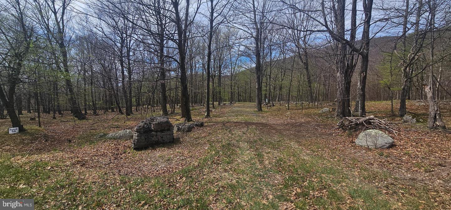 Goldenseal Rd #lot 46 Property Photo 31