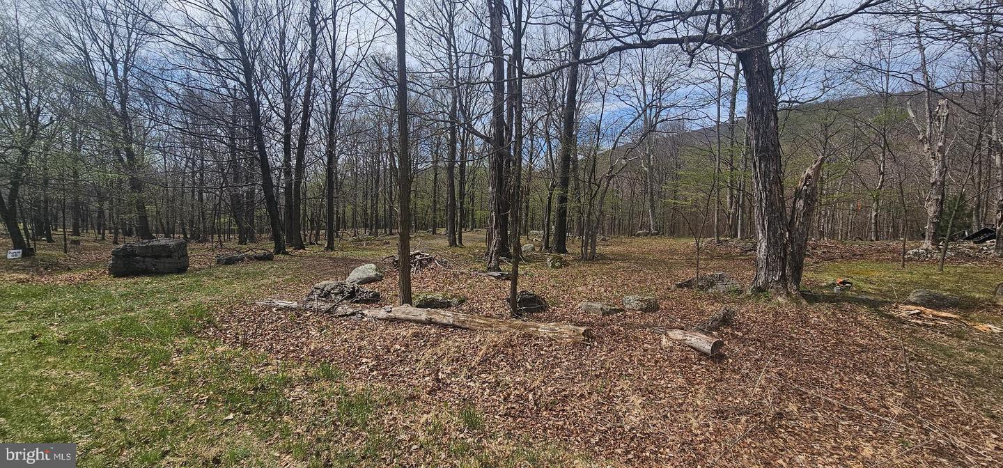 Goldenseal Rd #lot 46 Property Photo 32