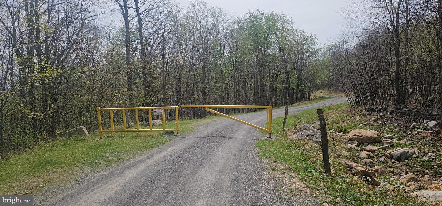 Goldenseal Rd #lot 46 Property Photo 33