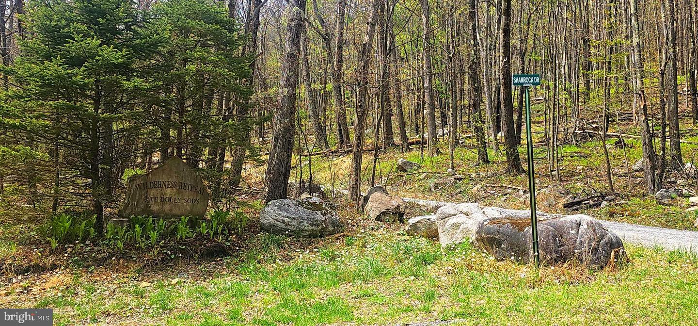 Goldenseal Rd #lot 46 Property Photo 34