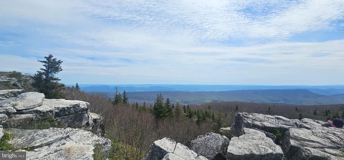 Goldenseal Rd #lot 46 Property Photo 35
