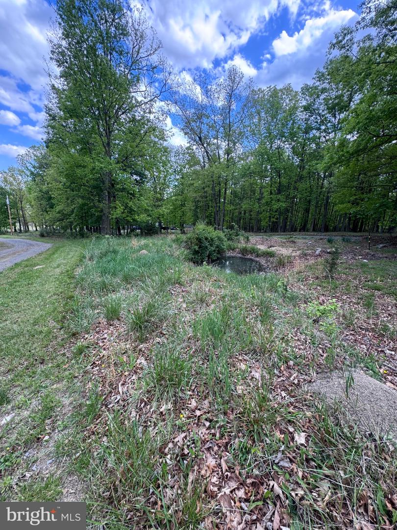 155 Foxdale Ln Property Photo 56