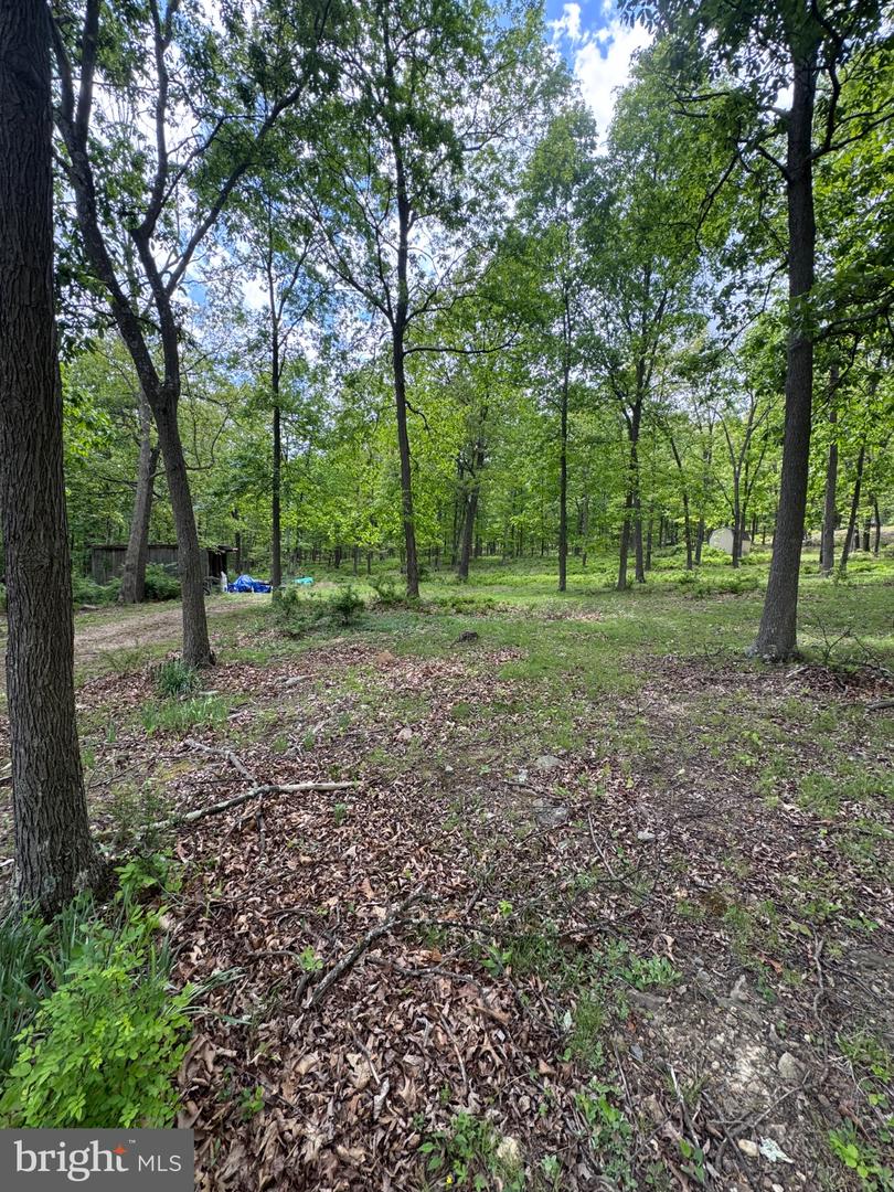 155 Foxdale Ln Property Photo 64