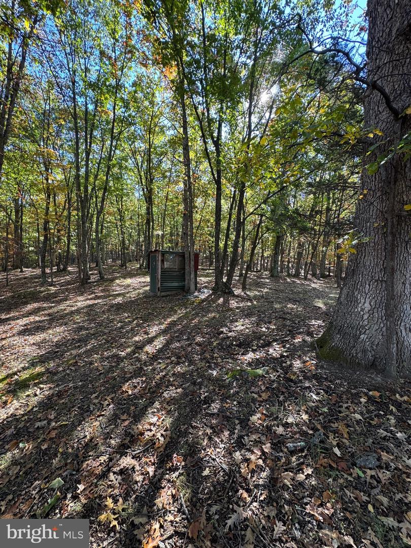 781 Dunmore Rd Property Photo 9