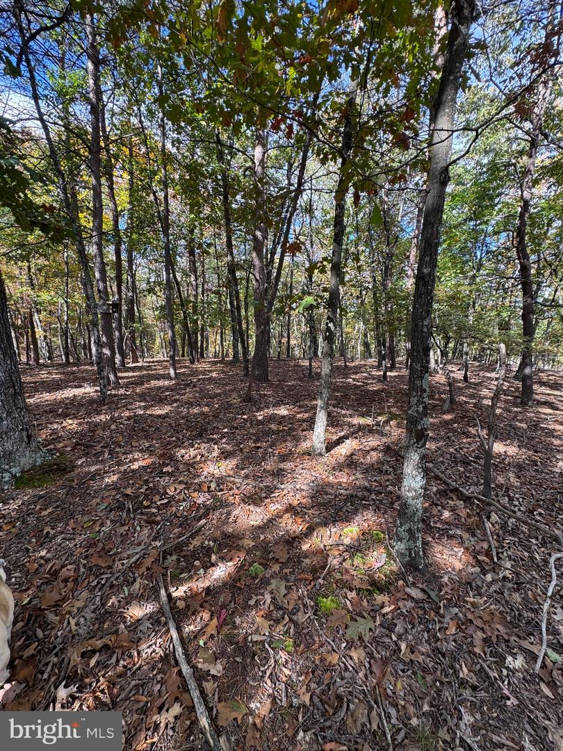 781 Dunmore Rd Property Photo 17