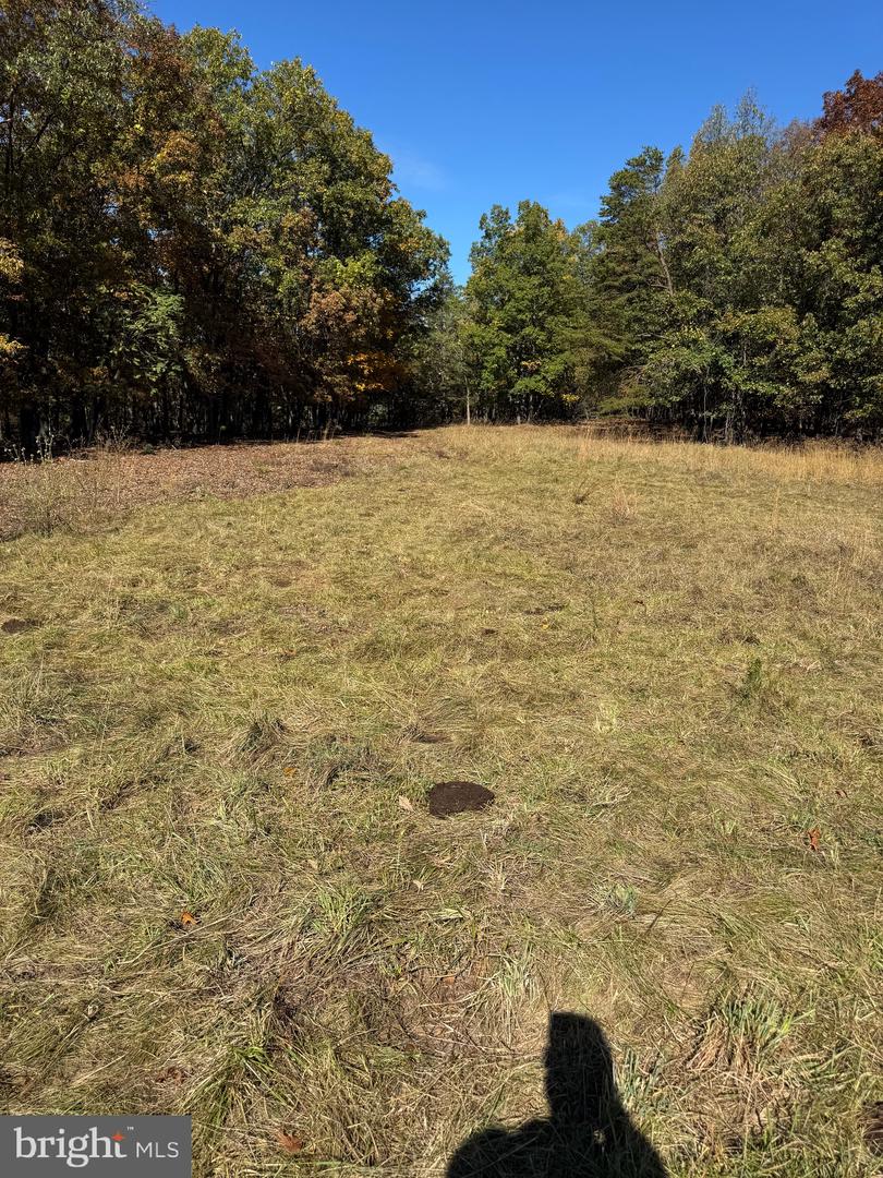 781 Dunmore Rd Property Photo 18