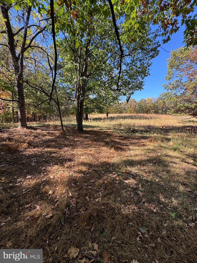 781 Dunmore Rd Property Photo 21