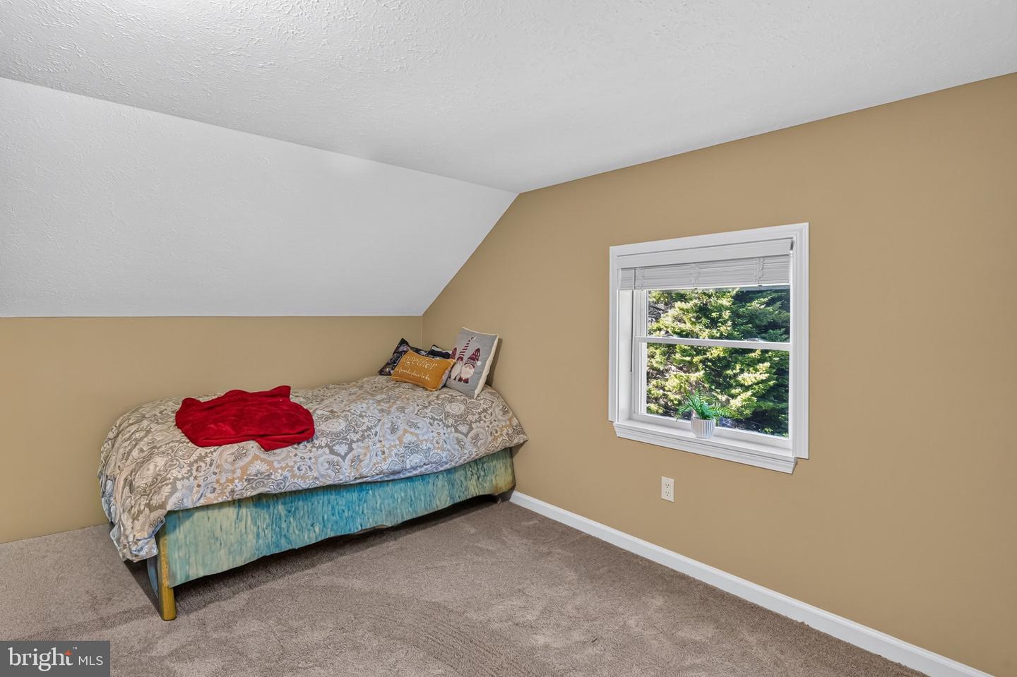 3291 Grassy Ridge Rd Property Photo 23