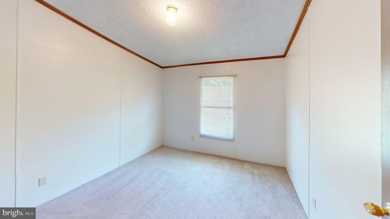 58 Creek St Property Photo 23