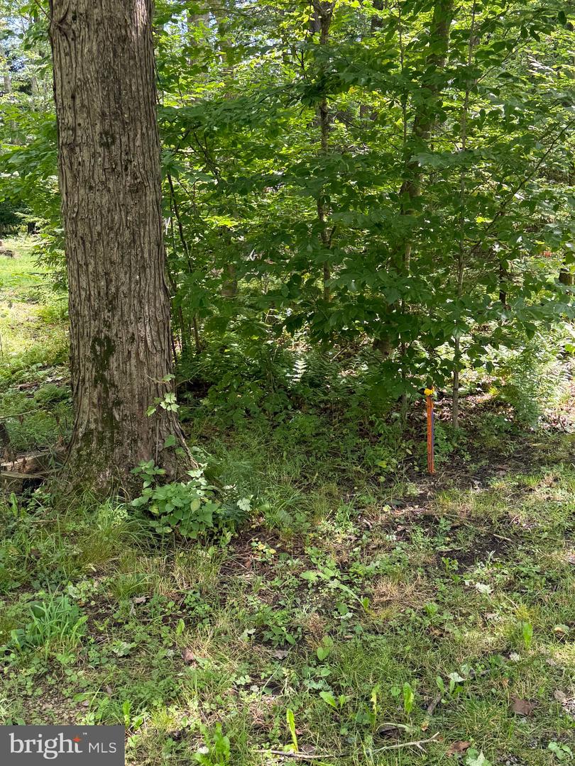 244 Village Road Property Photo 35