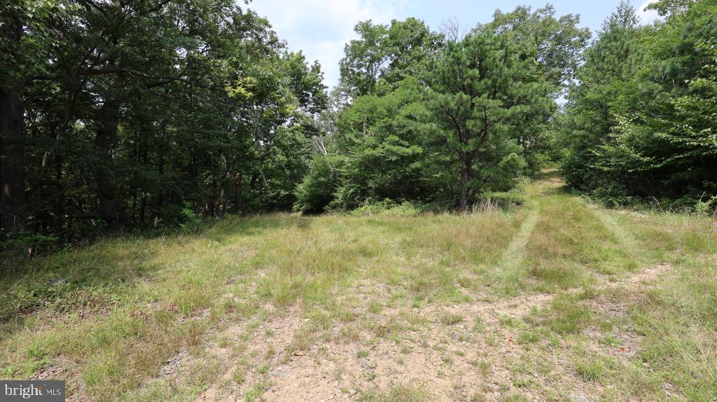 1841 Panther Rd Property Photo 2