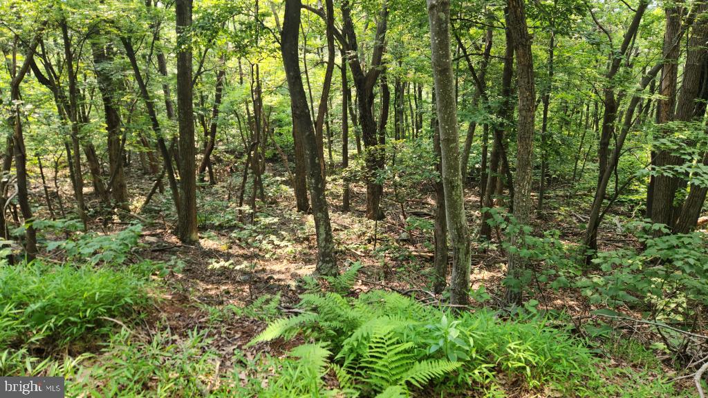 1841 Panther Rd Property Photo 3