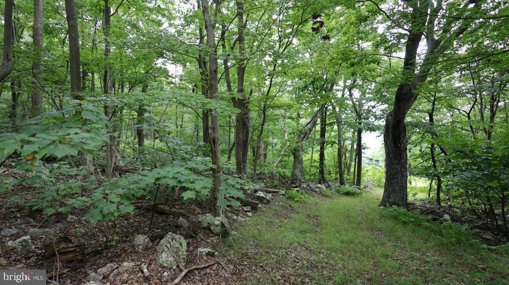 1841 Panther Rd Property Photo 4