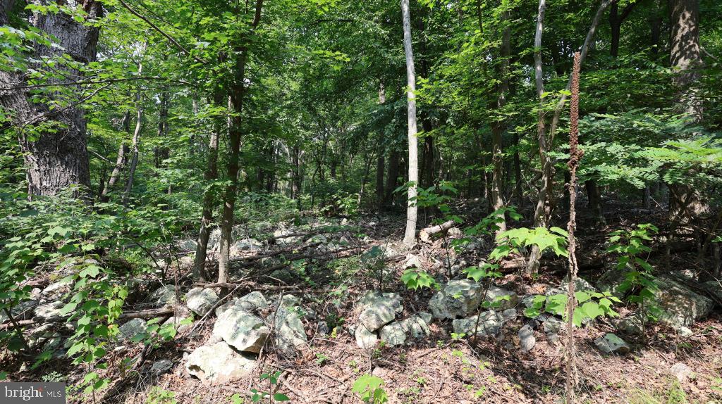 1841 Panther Rd Property Photo 8