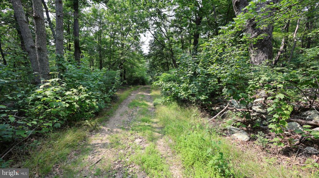 1841 Panther Rd Property Photo 9
