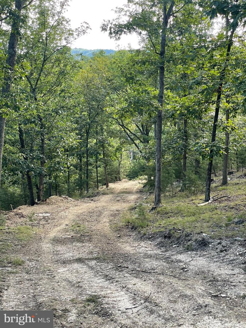 Route 9 26330 Property Photo 1