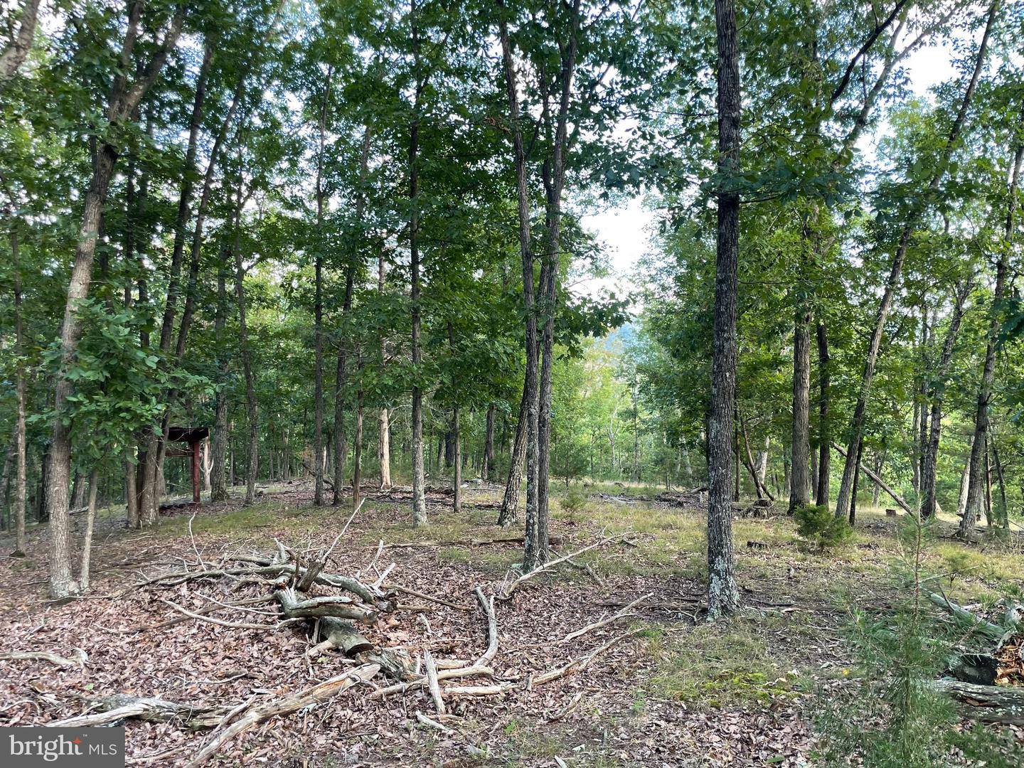 Route 9 26330 Property Photo 3