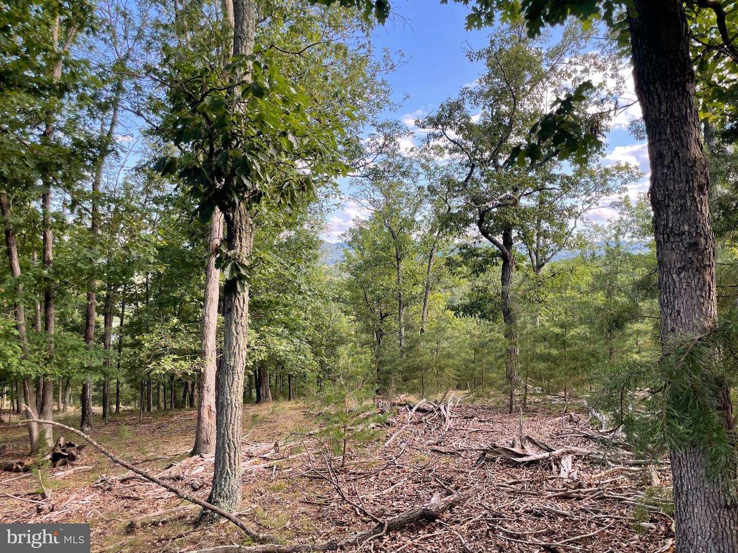 Route 9 26330 Property Photo 5